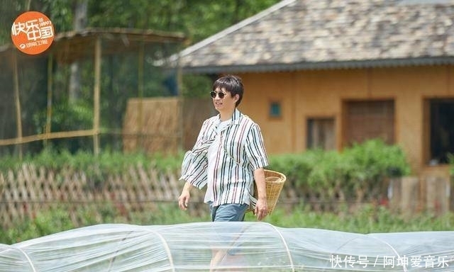 黄磊|《向往》黄磊谈彭昱畅加入原因,除了何炅推荐,还应该感谢大华