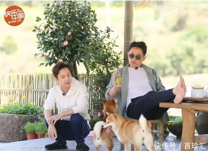 嘉宾|黄磊煮7个鸡蛋嘉宾却有8人,网友看完真相后直呼:高情商