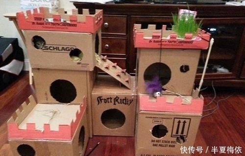 豪华|有才!外国网友用废纸箱,给喵星人打造豪华城堡