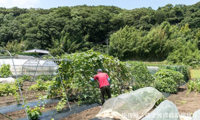  很爽|日本夫妻晒出朴素别墅，吸引30万粉丝，看上去简陋，住着却很爽