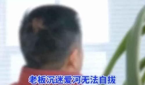 感受|“花200w网恋,结果见到本人后崩溃了”感受下他的绝望哈哈哈