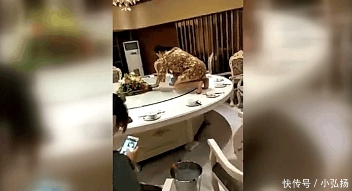 客人|女服务员“跪式”工作,顾客看不下去了,老板:你明天别来上班了