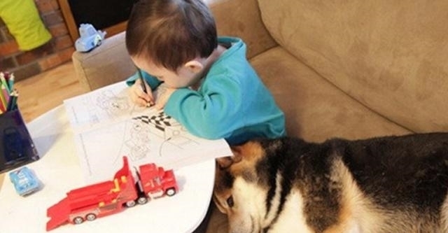  故地重游|4岁女儿意外走丢，阔别1年父母故地重游，竟被狗狗一眼认出女儿