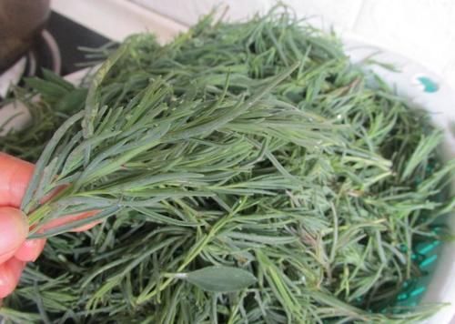 润肠|夏天吃饺子,韭菜靠边站,这菜做馅鲜嫩多汁营养好,还能润肠通便