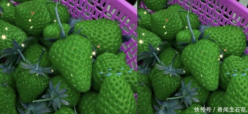 败给|最近火了“绿色食品”,忍了旺仔、草莓,却败给了橘子,网友:这什么玩意儿?