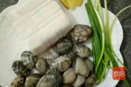  营养|豆腐和它是绝配，补锌又营养，孩子常吃猛长个