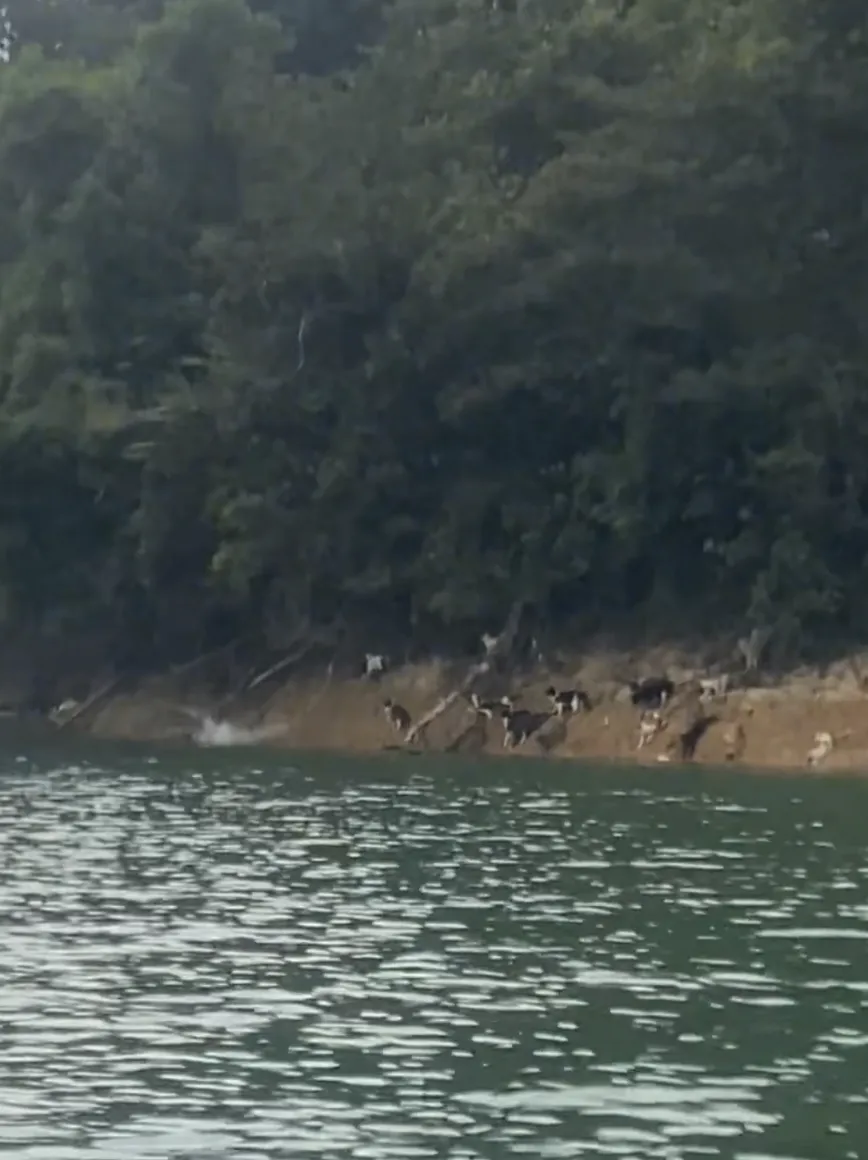 t11508c75c848a5cdb130c1ca82.webp?size=86