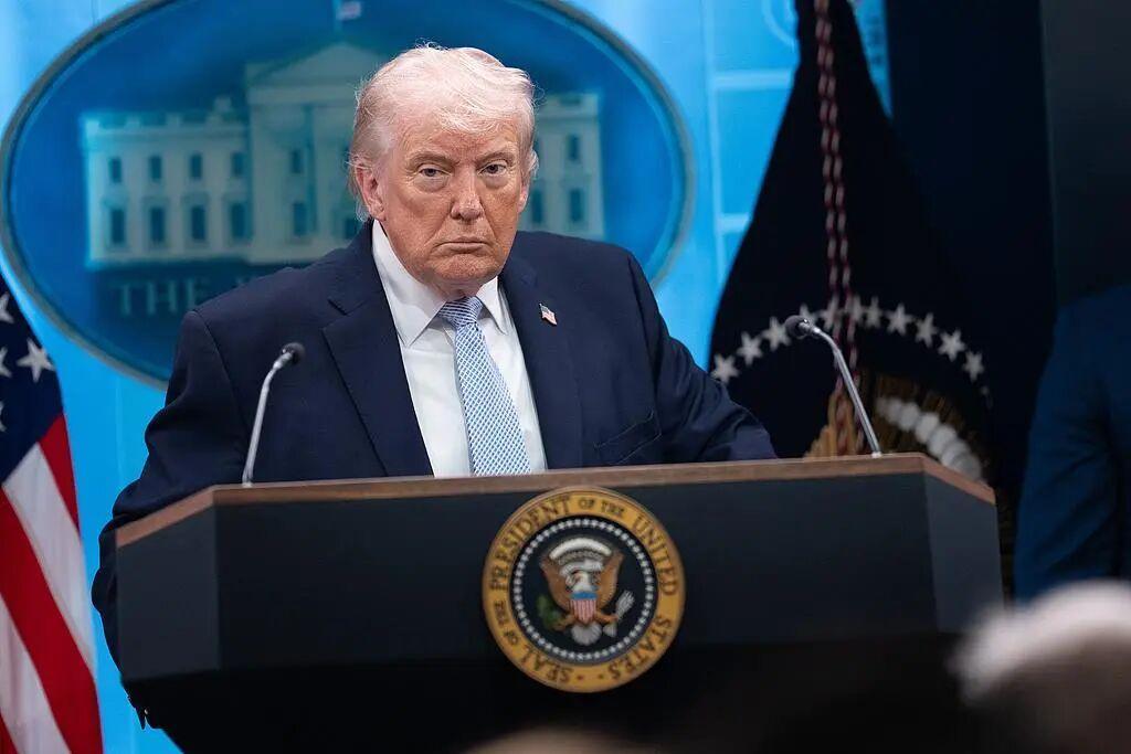 t11508c75c88278ed13d51e4cb9.jpg?size=102