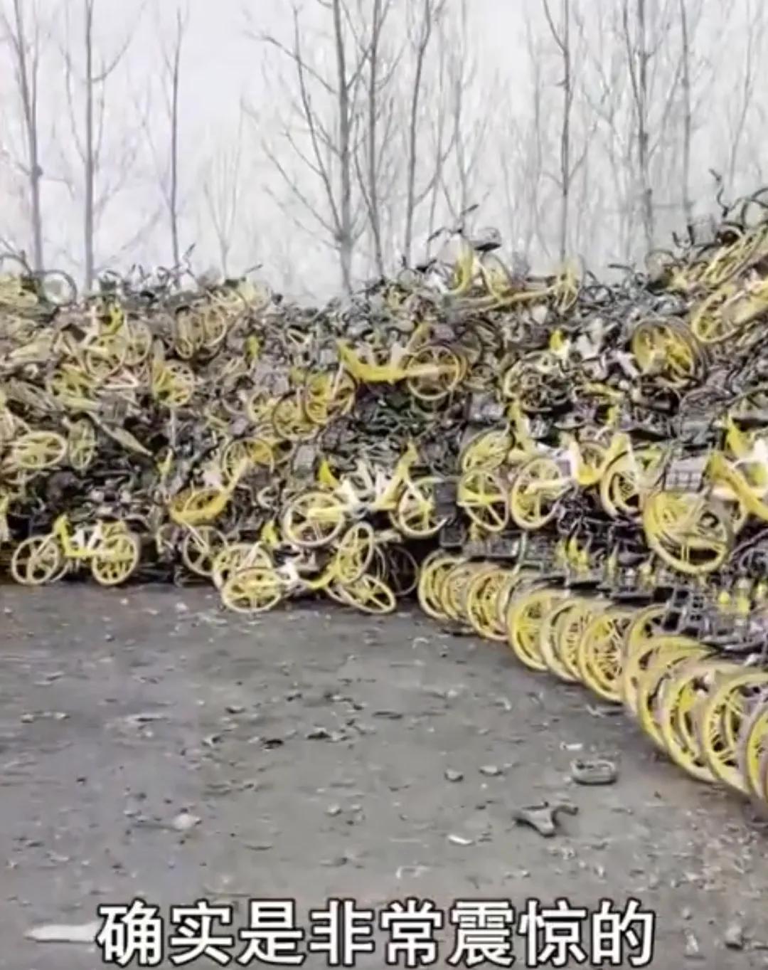 t11508c75c8dc031b5d4d13aa5d.jpg?size=108