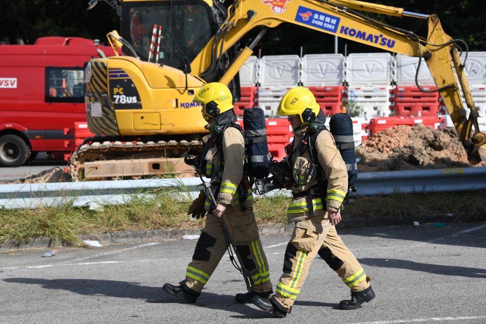 t11508c75c8fd2a5c36b1173548.jpg?size=100