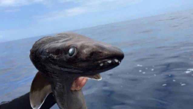 下载男人在床上亲吻女人